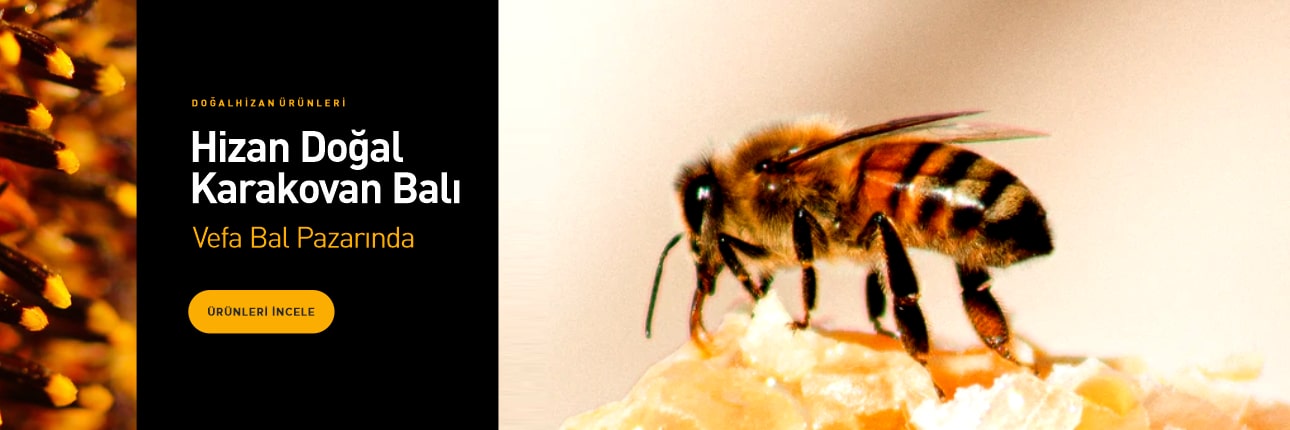 Hizan Karakovan Balları