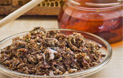 Herkesin Merak Ettiği Arı Ürünü 'PROPOLİS'