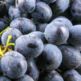 Doğal Hizan Siyah Üzüm Pekmezi - 1 Kg